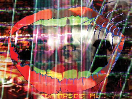 Animal Collective - Centipede HZ (2LP) on Sale