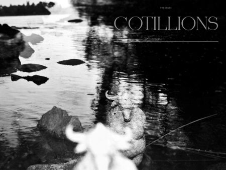 William Patrick Corgan - Cotillions (2LP) Supply