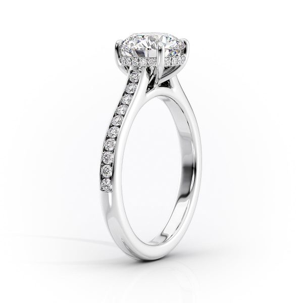 The Cameron Set With A 5 Carat Round Moissanite For Cheap